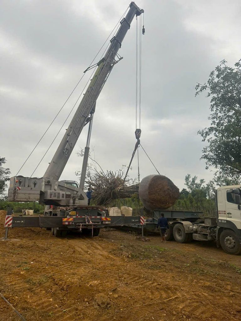 Chúng tôi chuyên cho thuê xe cẩu tại Hà Nội uy tín