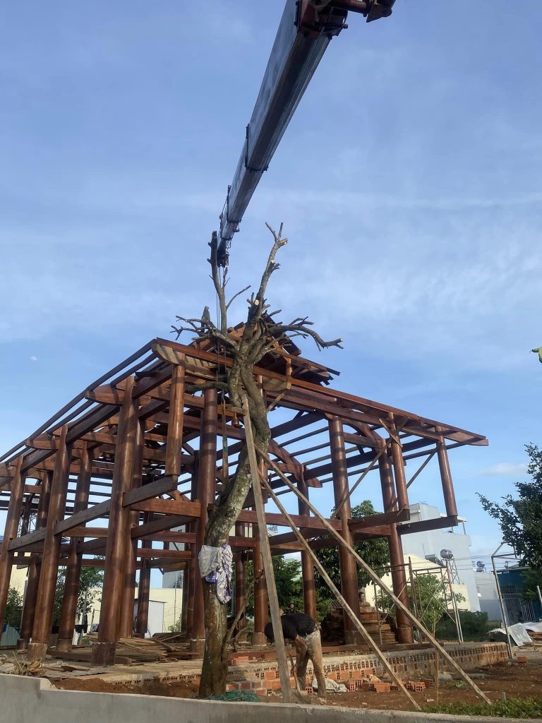 cho thue xe cau tai bac kan 12