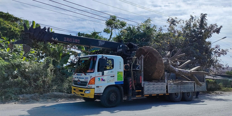 Cho Thuê Xe Cẩu Tại Bình Dương cho thue xe cau tai binh duong nhanh chong 5