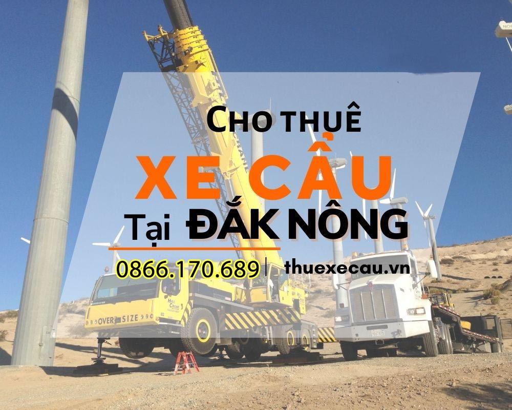 cho thue xe cau tai dak nong gia re