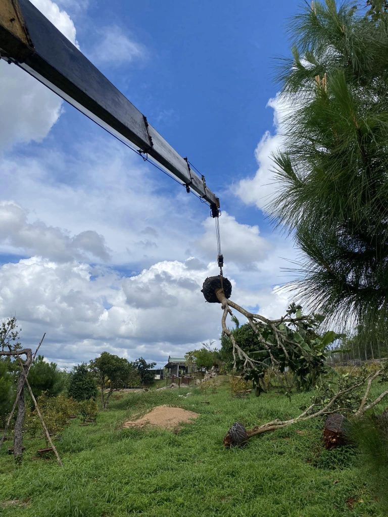 Cho Thuê Xe Cẩu Tại Điện Biên Dịch vụ cho thuê xe cẩu Điện Biên