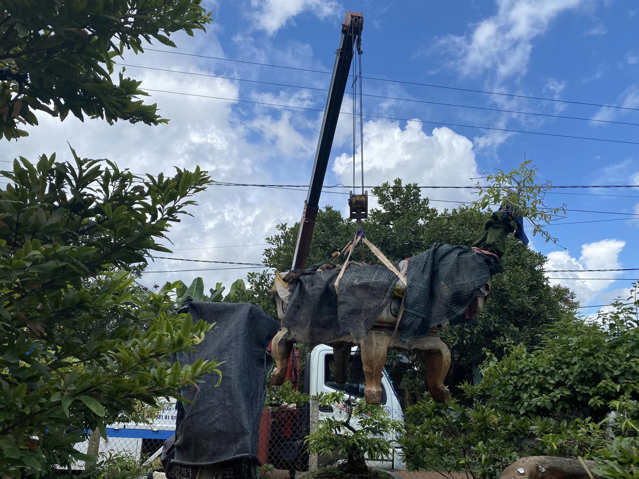 Cho Thuê Xe Cẩu Tại Điện Biên Dịch vụ cho thuê xe cẩu tại Điện Biên