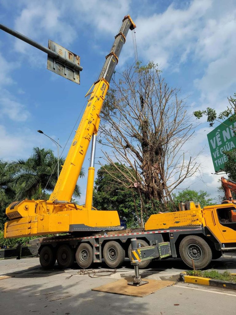 DỊCH VỤ CHO THUÊ XE CẨU TẠI HOÀNG MAI cho thue xe cau tai hoang mai 4 1