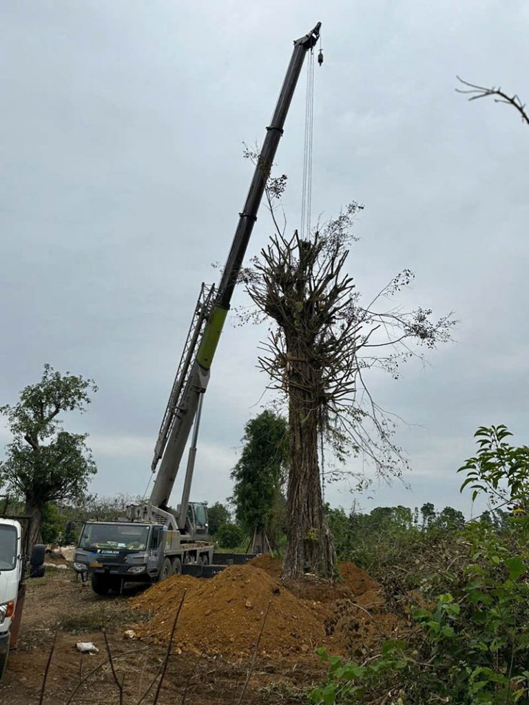 Cho Thuê Xe Cẩu Tại Kon Tum cho thue xe cau tai kontum 5