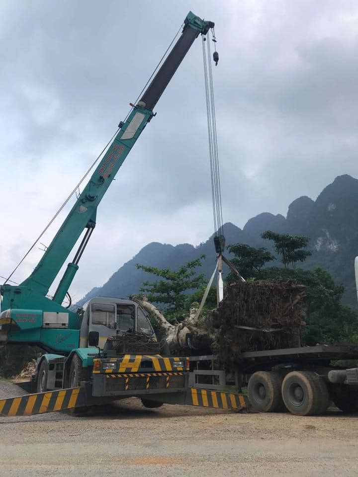 Cho Thuê Xe Cẩu Tại Thái Nguyên dich vu cho thue xe cau tai thai nguyen 8