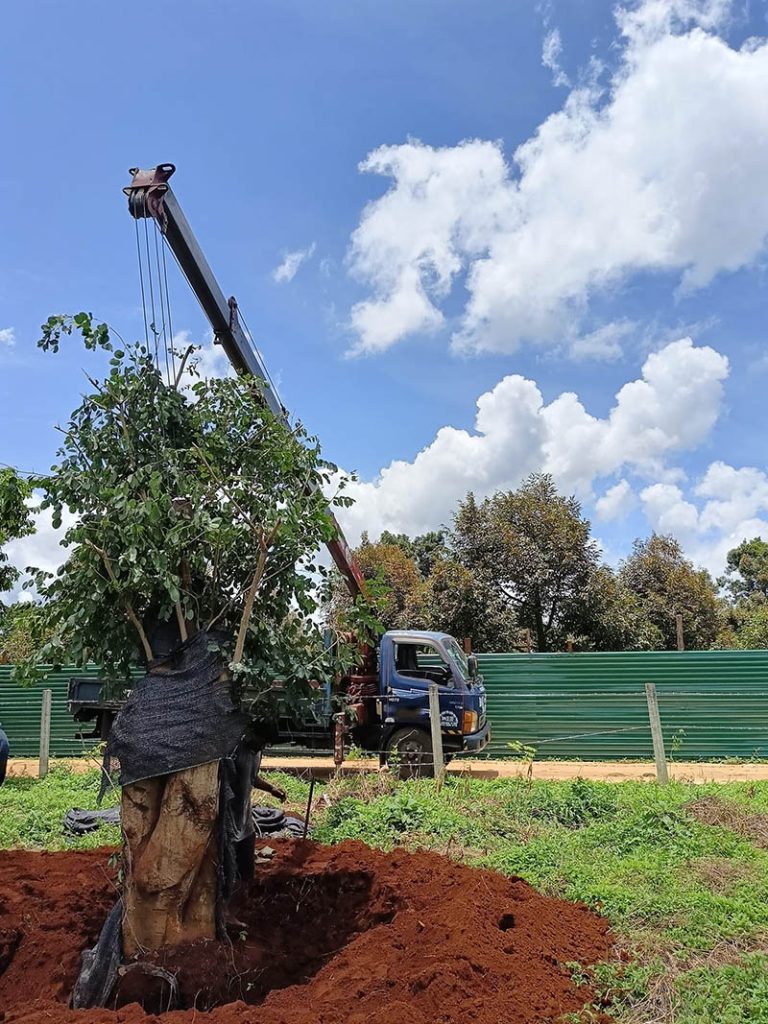 thue xe cau tai dak lak 1