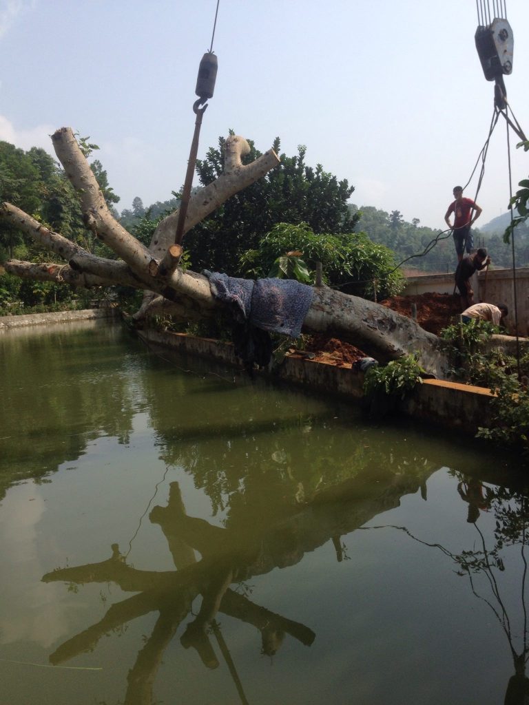 Cho Thuê Xe Cẩu Tại Yên Bái thue xe cau tai yen bai 1