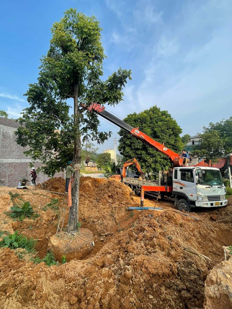 Cho Thuê Xe Cẩu Tại Yên Bái thue xe cau tai yen bai 5