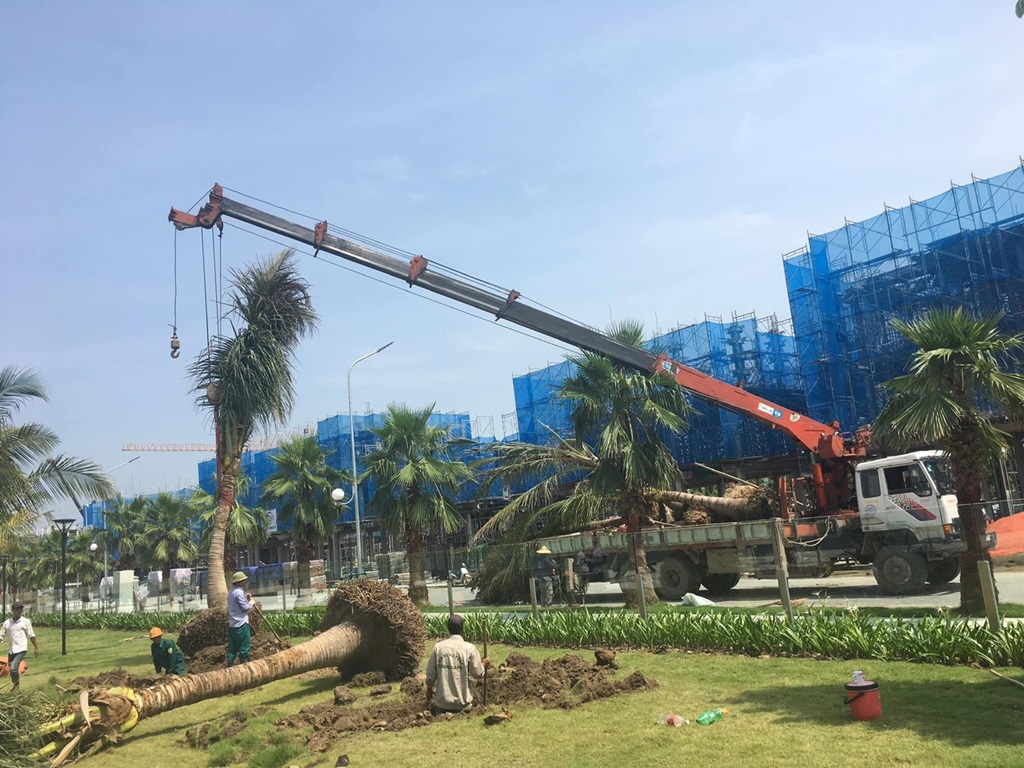 Dịch Vụ Cho Thuê Xe Cẩu Tại Nam Từ Liêm dich vu cho thue xe cau tai nam tu liem 6